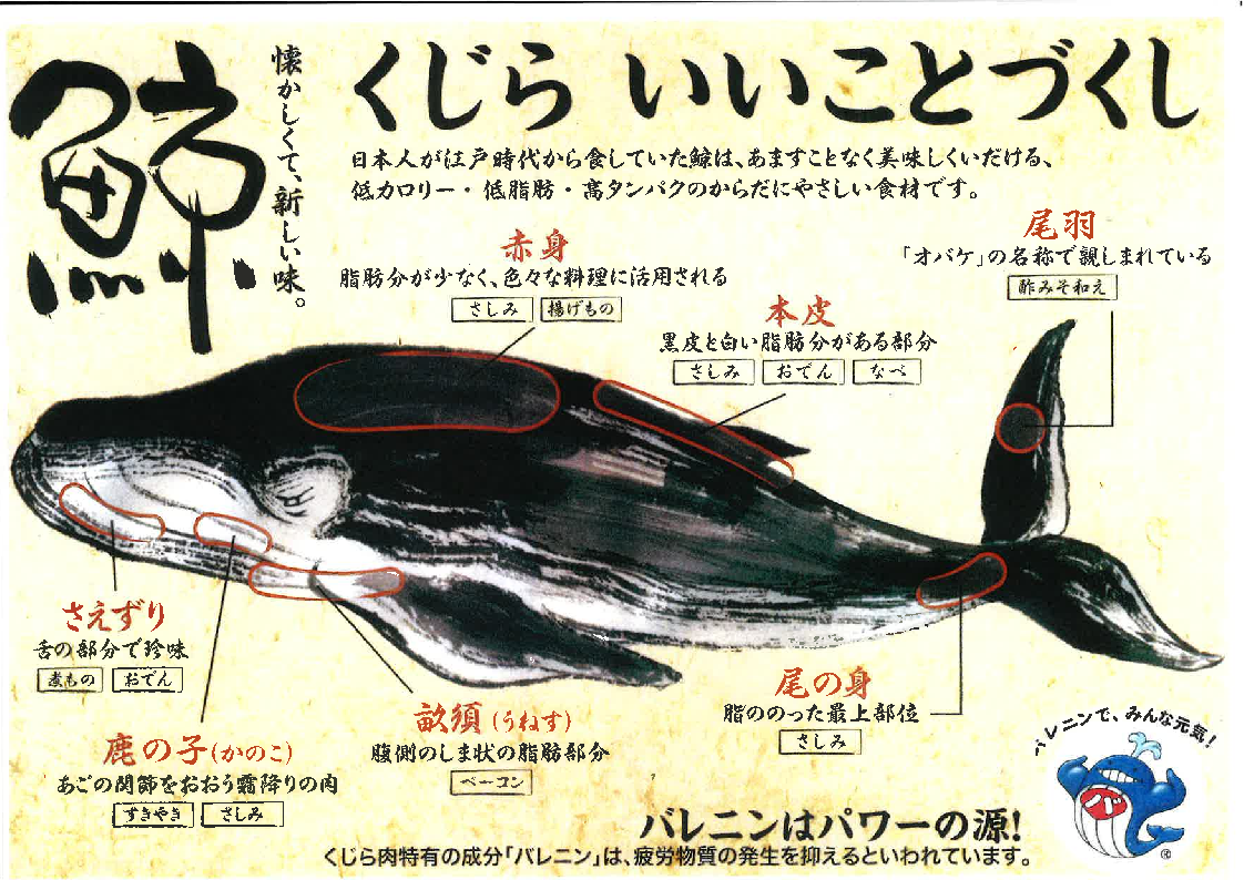 鯨の部位一覧